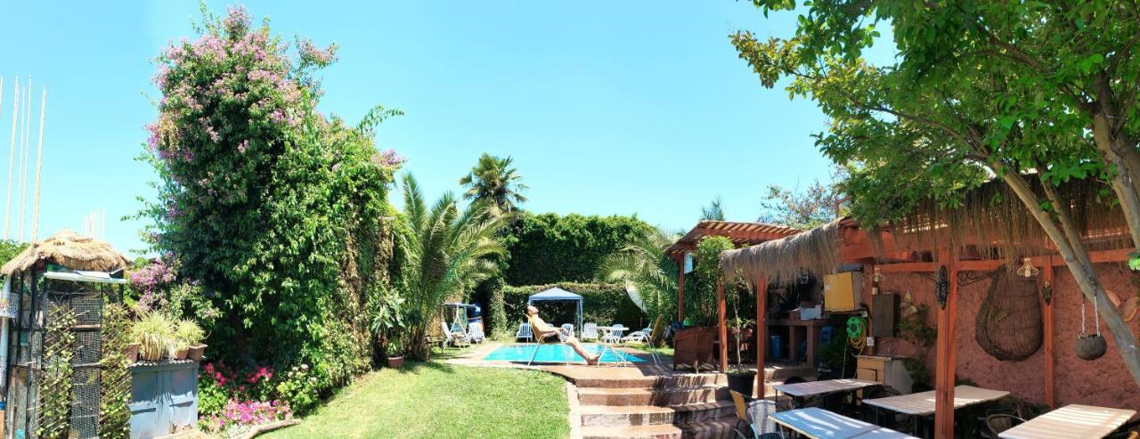 Hotel De Talca Талька Экстерьер фото